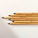 TECAN SUSTAINABLE EVERLASTING PENCIL